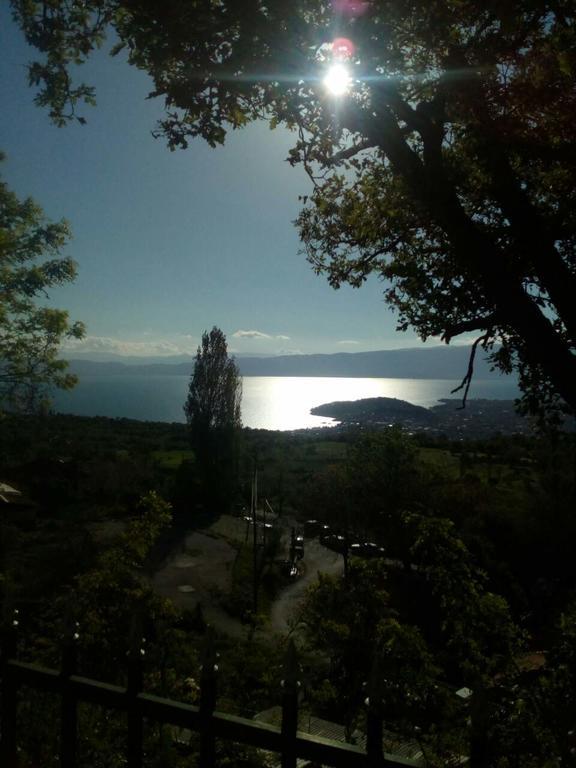 Villa & Apartments Petkoski Ohrid Extérieur photo